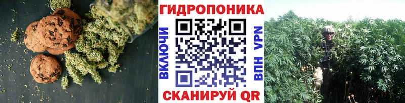 Купить где  Сухой Лог  Печенье с ТГК марихуана 