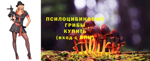 эйфоретик Богданович