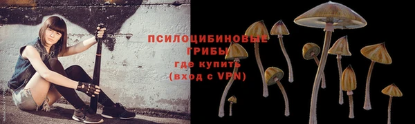 эйфоретик Богданович