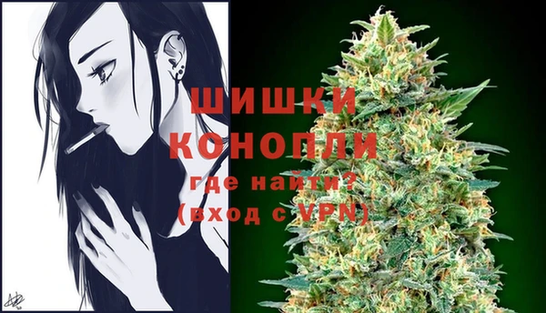 эйфоретик Богданович