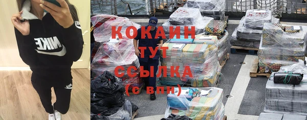 сатива Богородицк