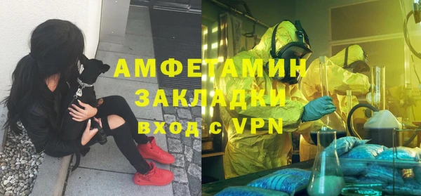 эйфоретик Богданович