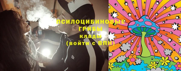 эйфоретик Богданович