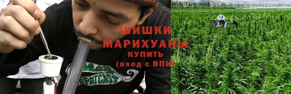 сатива Богородицк