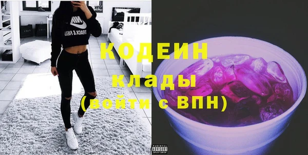 эйфоретик Богданович