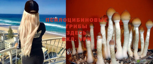 кокаин премиум Богородск