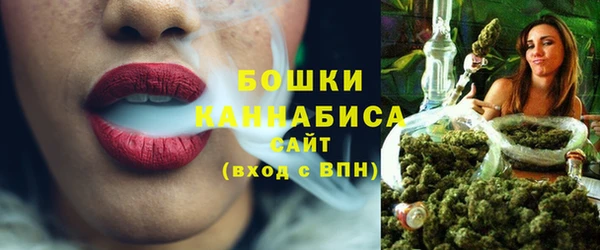 эйфоретик Богданович