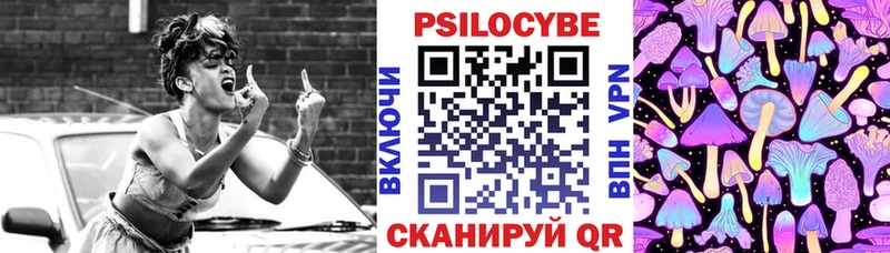Галлюциногенные грибы прущие грибы  Купить закладки  Сухой Лог 