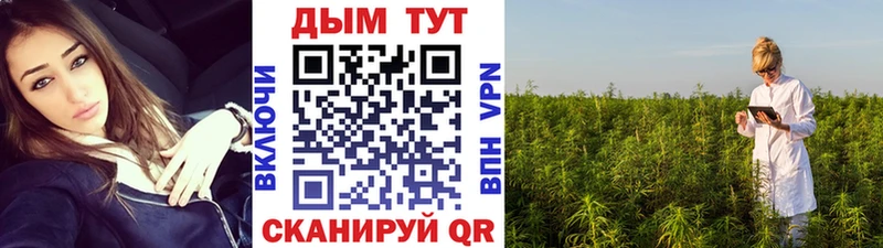 Бошки Шишки гибрид  Купить где  Сухой Лог 